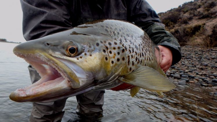 31/5 Limay Medio con Guille Palacios Limay Aventuras