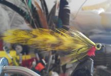 Fly-tying for largemouth black bass - Picture shared by LUIS SÁNCHEZ ANAYA – Fly dreamers