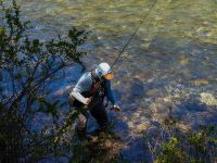 Fly fishing picture