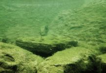  Mira esta Gran fotografía de Pesca con Mosca de Lukas Bauer