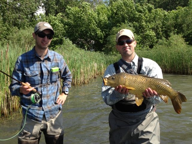 Thanks for liking!  2012 - my very first carp on the fly.  That is when all the trouble started.