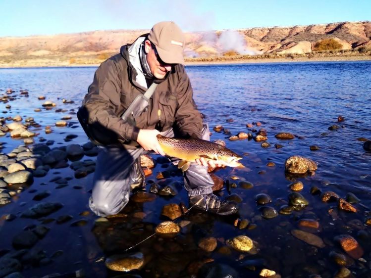 Hermosa marron del Limay