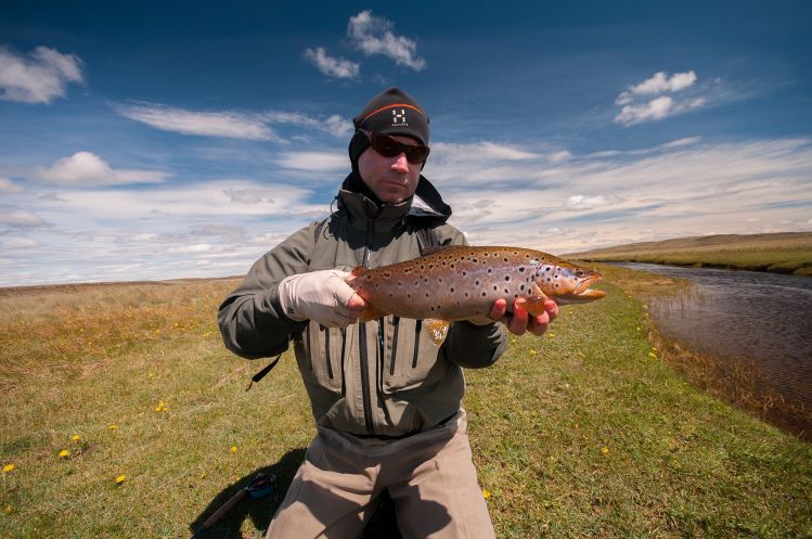 brownie from south Argentina - <a href="https://www.flydreamers.com/dl/the-route-of-the-spring-creeks">https://www.flydreamers.com/dl/the-route-of-the-spring-creeks</a>