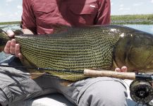  Foto de Pesca con Mosca de River tiger por Carlos Margineda – Fly dreamers 