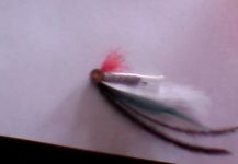 Fly-tying for Sea-Trout - Picture shared by Nacho Renard – Fly dreamers