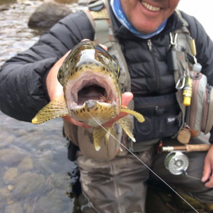 Otoño en el  río Chimehuin -  Pesca Fina 