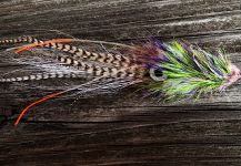 Good Fly-tying Image shared by Jack Denny – Fly dreamers