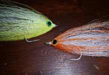 Fly for Largemouth bass by Brian Shepherd – Fly dreamers 