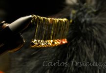 Fly-tying for Loch Leven trout German - Pic by Carlos Trissciuzzi 