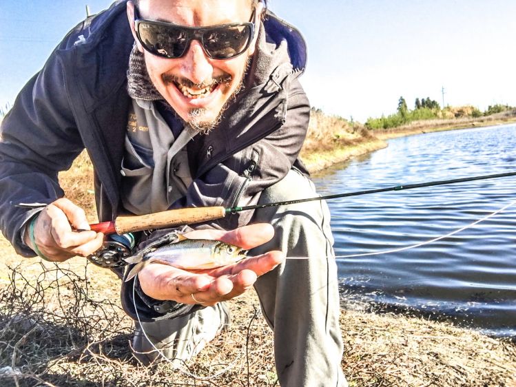 Mientras todos se dedican a pescar a los grandes los chicos los sigo pescando yo por todos lados ....