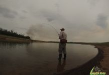 Cool Fly-fishing Situation of silver carp - Picture shared by Oliver Otto – Fly dreamers