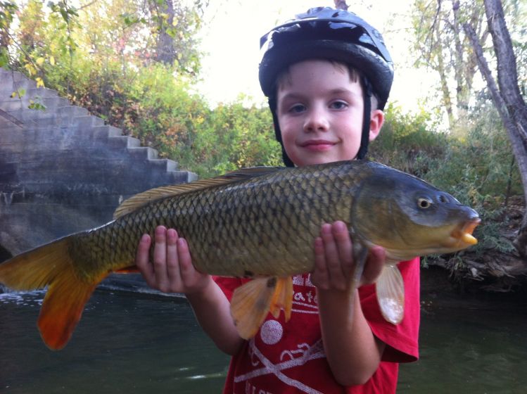 Fly fishing for carp is a full contact sport!  Bike helmets needed :)