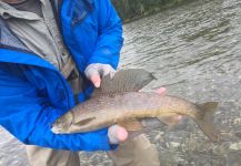 Keith Majors 's Fly-fishing Photo of a Lady of the stream – Fly dreamers 