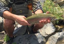  Cool Fly-fishing Pic shared by John Langcuster 