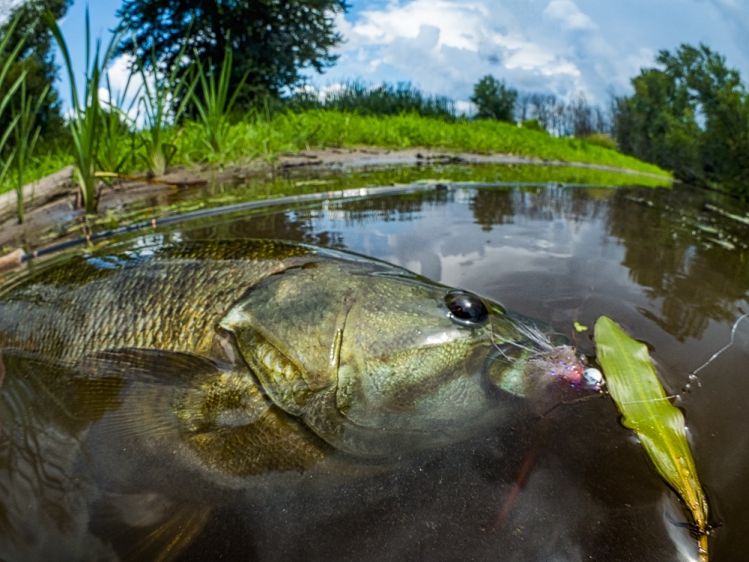 smallmouth with storm approaching