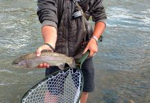 Brandon Marr 's Fly-fishing Pic of a Rainbow trout – Fly dreamers 