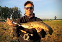 Fly-fishing Pic of Wolf Fish shared by Gabriel Badano | Fly dreamers 