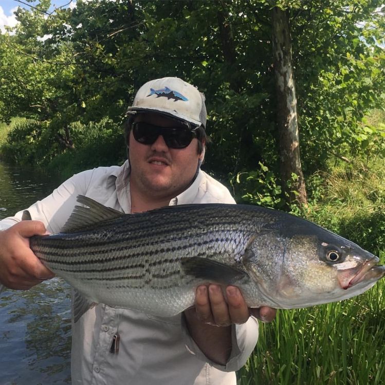 Stripers are fun!