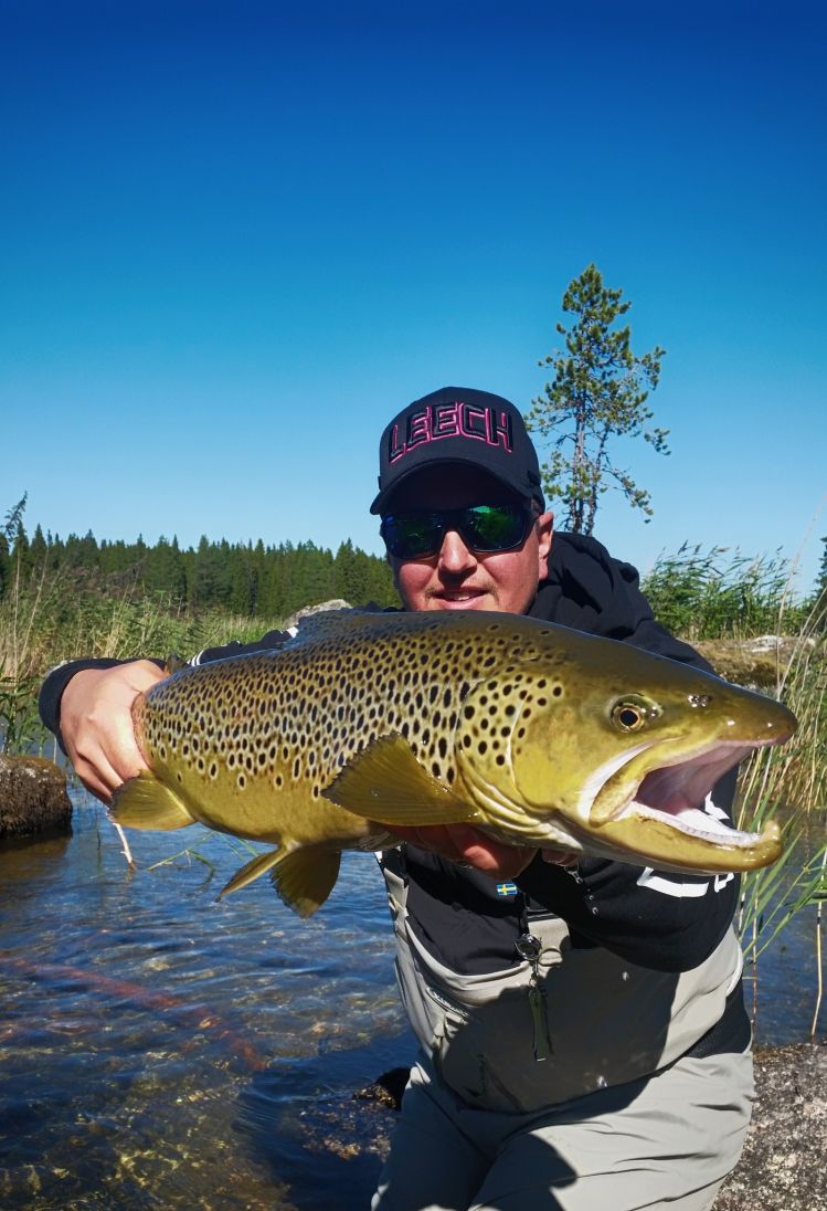 Sight fished with nymph!