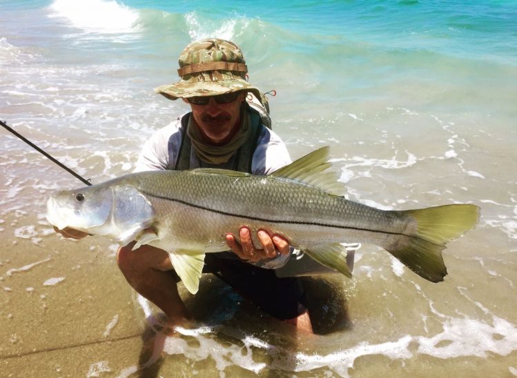 Sight fished beach snook.