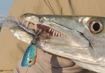  Foto de Pesca con Mosca de Barracuda compartida por Carlos Benarducci – Fly dreamers