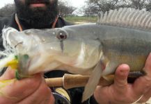 Juan Franco Menna 's Fly-fishing Photo of a San Antonio – Fly dreamers 