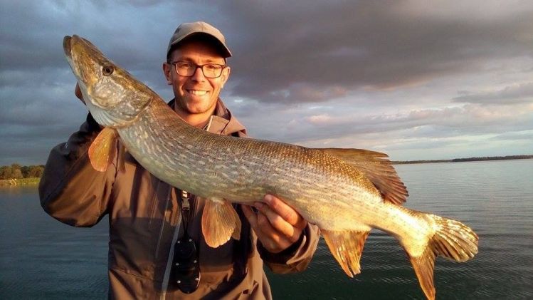 Another nice pike from the Rhin river in France ! 