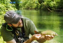 Thymallus arcticus Fly-fishing Situation – Uros Kristan shared this Great Photo in Fly dreamers 