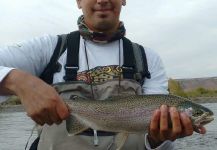  Foto de Pesca con Mosca de Trucha arcoiris compartida por Federico Riffo – Fly dreamers