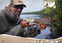 Kid Ocelos 's Fly-fishing Image of a Snook - Robalo – Fly dreamers 