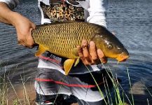  Fotografía de Pesca con Mosca de grass carp por Federico Riffo – Fly dreamers 