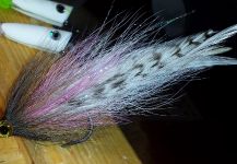 David Bullard 's Fly for Tarpon - Picture – Fly dreamers 