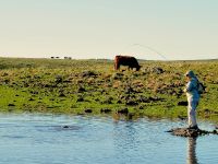 Foto de pesca con mosca