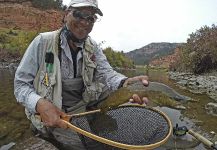 Fly-fishing Pic of Salmo trutta shared by Brian Macalady – Fly dreamers 