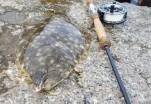 Impressive Fly-fishing Photo shared by Chanan Chansrisuriyawong – Fly dreamers 