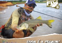Kid Ocelos 's Fly-fishing Photo of a Snook - Robalo – Fly dreamers 