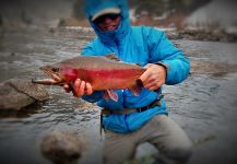 Fly-fishing Pic of Rainbow trout shared by Jared Martin – Fly dreamers 