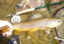 von Behr trout Fly-fishing Situation – Scott Marr shared this Great Photo in Fly dreamers 