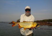 Fly-fishing Image of Dorado shared by Juan Franco Menna – Fly dreamers