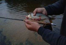 Claudio Romero 's Sweet Fly-fishing Pic – Fly dreamers 