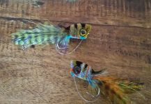 Fly-tying for achigan à grande bouche - Picture shared by Vincent Vescovi – Fly dreamers