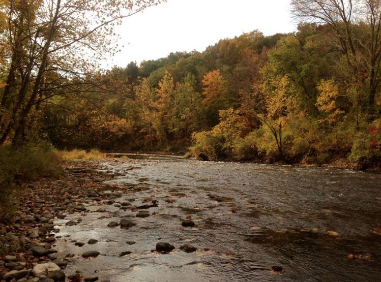 Farmington river