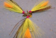 Fly-tying for Rainbow trout - Photo shared by Isaac Reynoso – Fly dreamers 