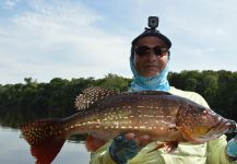 Guillermo Hermoso 's Fly-fishing Photo of a Peacock Bass – Fly dreamers 
