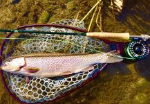 Rainbow trout Fly-fishing Situation – Scott Marr shared this Image in Fly dreamers 