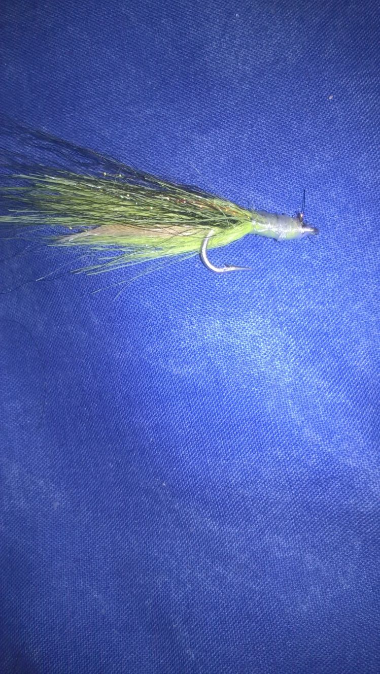 Shrimp/Prawn fly