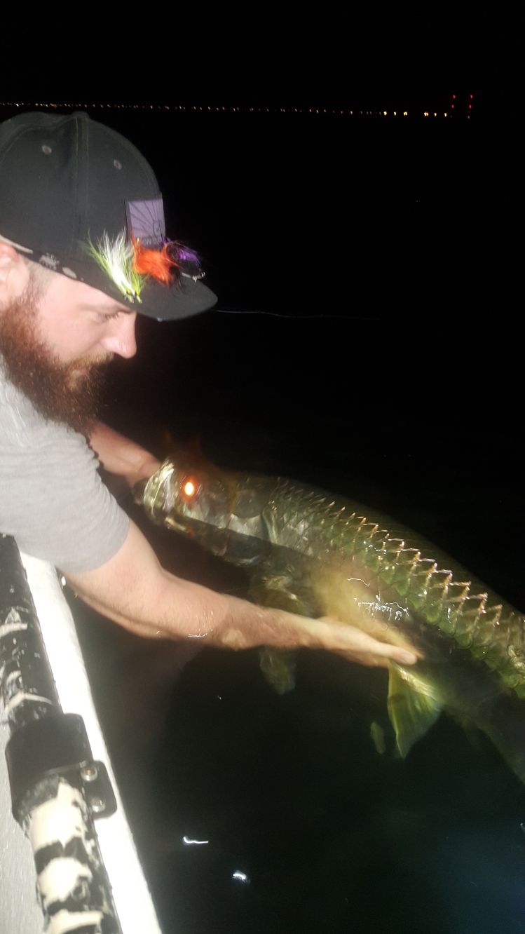 night time tarpon fishig is still going on in the tampa bay area! last year this went on until december! however with the water temps declining faster than last year we may not be so fortunate for much longer.