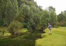 PESCANDO NINFAS EN AGUAS BAJAS