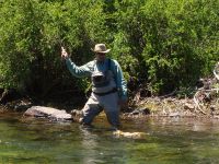 Fly fishing picture