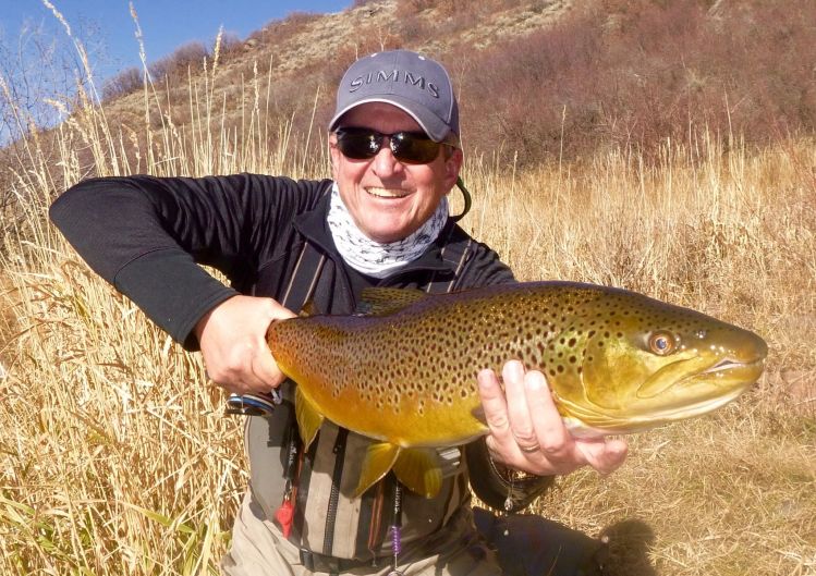 Yampa River Brown